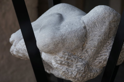 Sandra_Veit_Asterisk-1_web